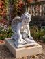 Preview: Gartenfigur Engel Steinfigur mit Buch Engelfigur