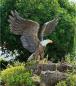 Preview: Garten Bronze Figur Weißkopf Adler 160cm