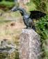 Preview: Große Drachen Bronze Figur Vogel 55cm mit Granit Findling Sockel 60cm