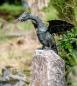 Preview: Edler Bronze Drachenvogel 55cm mit Granit Findling Sockel 60cm