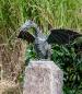 Preview: Edler Bronzedrachenvogel 55cm mit Granit Findling Sockel 60cm