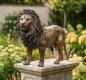 Preview: majestätische Löwenfigur für Garten & Eingang