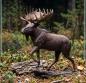 Preview: Majestätischer Bronze Elch Figur 30 cm