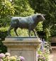 Preview: Beeindruckender Spanischer Stier aus Bronze Figur