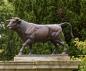 Preview: Beeindruckender Spanischer Stier aus Bronze 27cm