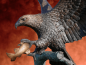 Preview: Monumentale Bronzefigur Seeadler – Gartenfigur mit Fisch Bronze Figur 233cm