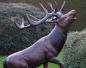 Preview: Brüllender Hirsch - Bronze Figur Majestätische Skulptur mit großem Geweih 170cm