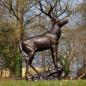 Preview: Bronzeskulptur Zwölfender-Hirsch auf Felsen aus Bronze