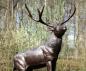 Preview: Bronzeskulptur Zwölfender-Hirsch auf Felsen aus Bronze