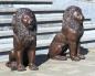 Preview: Bronze Löwen Figuren