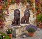 Preview: Bronze Löwen Paar Figuren