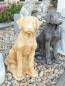 Preview: Hundefigur beige Gartendekoration Hauseingang