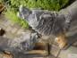 Preview: Gartendekoration Steinfiguren Wölfe
