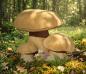 Preview: Steinfigur Pilzgruppe Park & Gartendekoration Steinpilze aus Beton 40cm 21kg