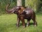 Preview: Bronzefigur Elefant