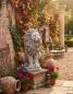 Preview: Löwen Figur Beton Steinfigur links Blick sitzend als Gartenfigur 53cm