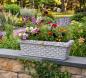 Preview: Pflanzkasten mit Korbgeflecht Verzierung und Blumen Dekorkante Beton Steinguss 77cm