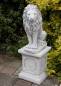 Preview: Löwen Skulptur als Gartenfigur
