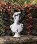 Preview: schöne David Büsten Skulptur