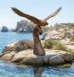 Preview: Bronze Adler Figur Garten Skulptur