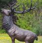 Preview: Prächtige Bronzeskulptur Röhrender Hirsch auf Fels | Authentische Hirschfigur mit Zwölfender Geweih 255cm