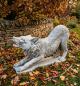 Preview: Wolf lebendsgroß Beton Steinguss Figur Gartendekoration Tierfigur Länge 100cm 140kg