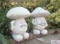 Preview: Fliegenpilz und Steinpilz