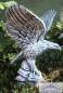Preview: Gartenfigur kleiner Adler