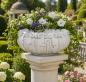Preview: Pflanzschale Blumen Steinschale Beton Steinguss Blumenschale Höhe 23cm 51cm