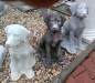 Preview: Hunde Steinfiguren weiss anthrazit hellgrau