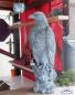 Preview: Großer Falke auf Felsen sitzend Garten Steinfigur Vogelfigur Beton Steinguss Figur 55cm 16kg S103117