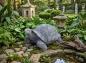 Preview: Schildkröten Gartenfigur Steinfigur Steinguss Gartendekoration Tierfigur 65x45cm