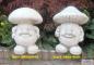 Preview: Garten Steinpilze