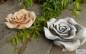 Preview: Rose als Steinblume