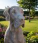 Preview: Deutsche Dogge Hundefigur XXL Steinfigur Gartenfigur Hund 104cm 170kg