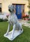 Preview: Deutsche Dogge Hundefigur XXL Steinfigur Gartenfigur Hund 104cm 170kg