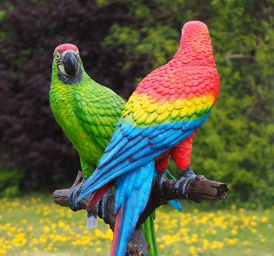 Große Adler Bronze Gartenfigur