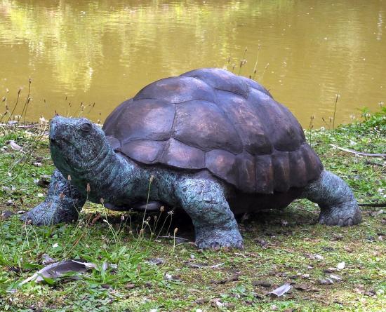 XL Schildkröten Bronze Garten Figur
