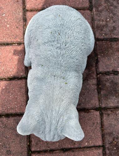 Katzen FRigur als frostfeste Gartenfigur für den Außenbereich