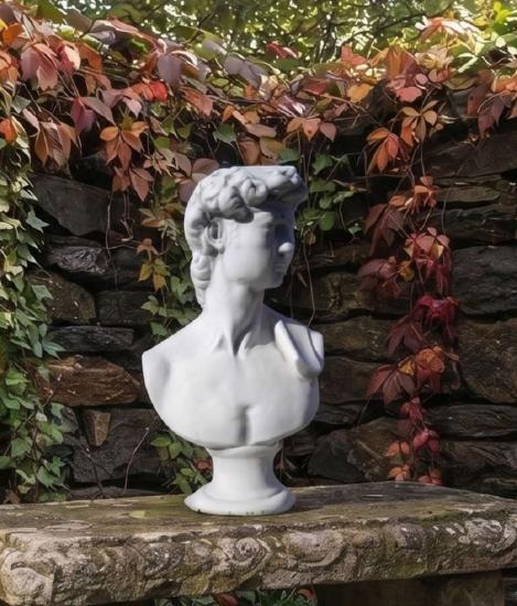 schöne David Büsten Skulptur