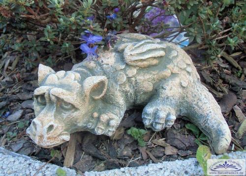 kleiner drachen liegend