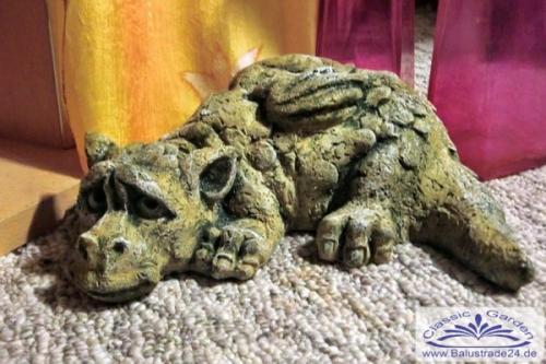 kleiner niedler drache