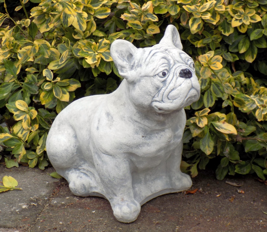 Steinfigur französische Bulldogge sitzend Frostfest Garten Deko Gartenfigur  