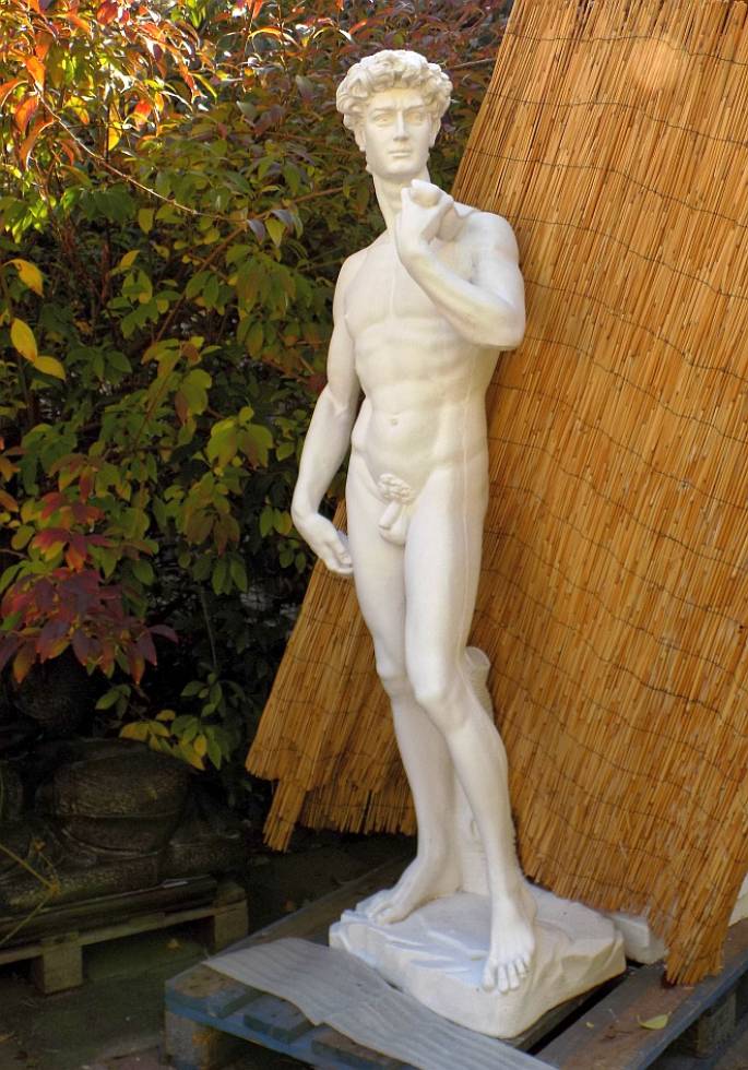 Statuen David di Michelangelo