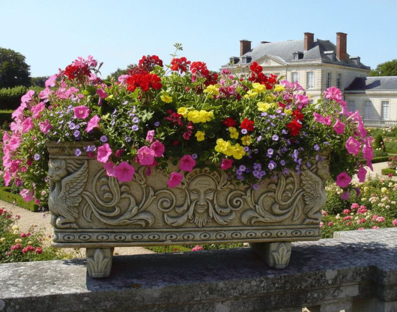 Pflanzkasten mit Drachen Fabelwesen Pflanzgefäß Blumenkasten Balkonkasten Beton Steinguss