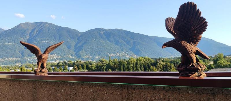 Adler Gartenfiguren Metallfarben Kupfer