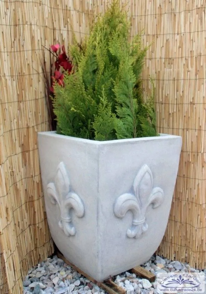 Pflanzkübel mit Bourbonenlilien