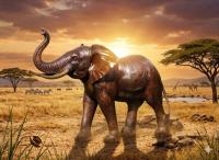 Afirka Bronze Elefant in ser Savanne von Afirka