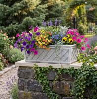 Pflanzkasten mit Korbgeflecht Verzierung Pflanzgefäß Beton Steinguss Blumenkasten 79cm