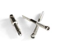 Hollywood Spezial TopLoc Schrauben für Bullnase Profile